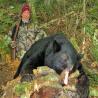 images/gallery/bear/bear02.jpg