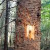 images/gallery/bear/bear07.jpg