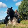 images/gallery/bear/bear10.jpg
