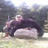 images/gallery/bear/bear12.jpg