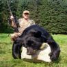 images/gallery/bear/bear14.jpg