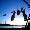 images/gallery/moose/moose01.jpg