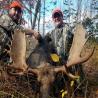 images/gallery/moose/moose03.jpg