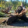 images/gallery/moose/moose04.jpg