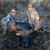 images/gallery/moose/moose07.jpg