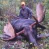 images/gallery/moose/moose09.jpg