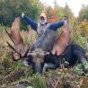 images/gallery/moose/moose12.jpg
