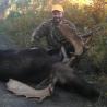 images/gallery/moose/moose17.jpg