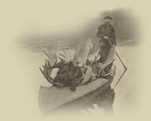 moose hunting